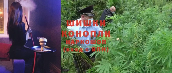 сатива Бугульма